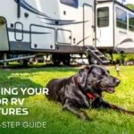 Preparing Your Pets for RV Adventures: A Step-by-Step Guide