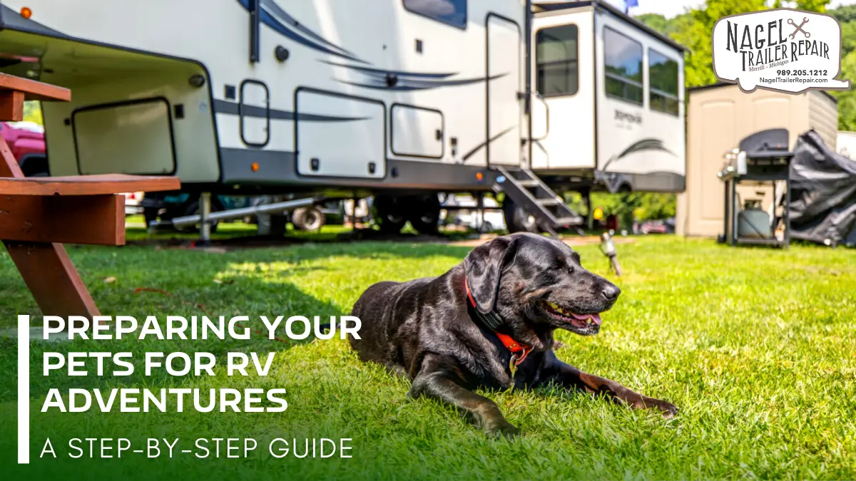 Preparing Your Pets for RV Adventures: A Step-by-Step Guide