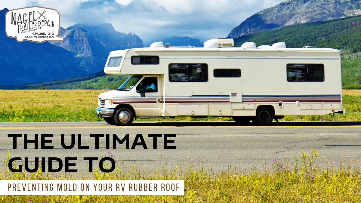 RV Roof Mold Prevention Tips