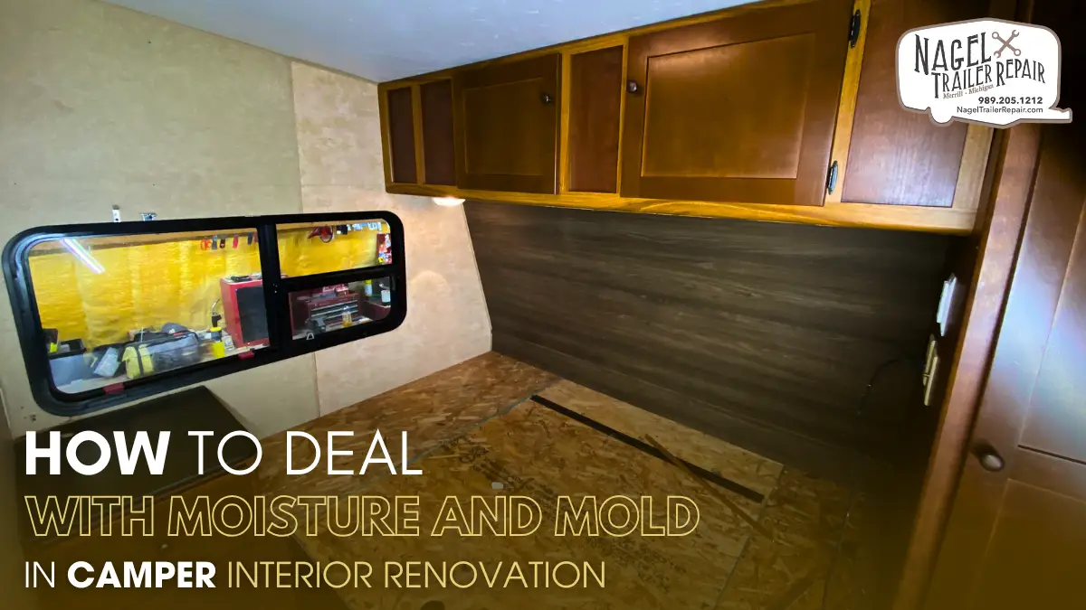 How to Deal with Moisture and Mold in Camper Interior Renovation