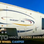 How to Handle Rodent Damage in Your 5th Wheel Camper