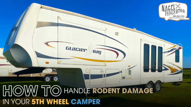How to Handle Rodent Damage in Your 5th Wheel Camper