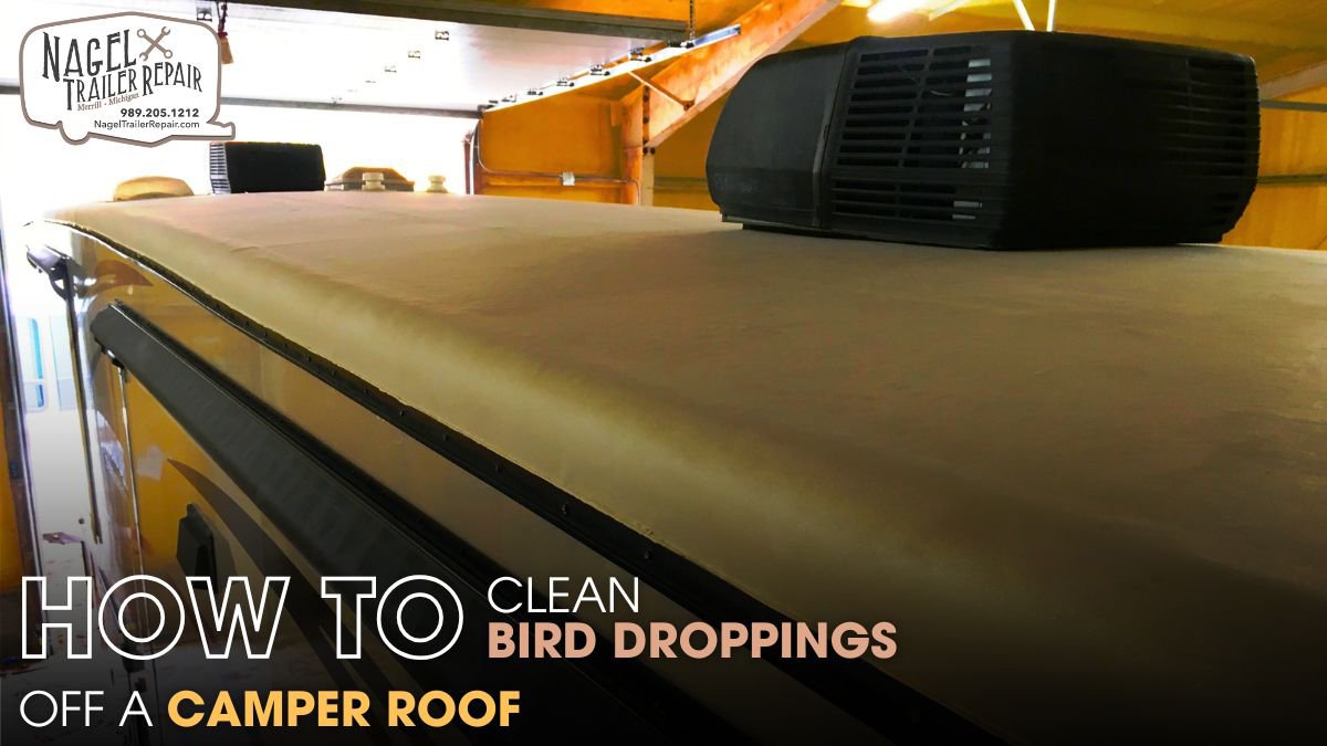 How to Clean Bird Droppings Off a Camper Roof