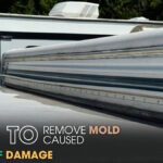 Remove Mold Caused by RV Roof Damage