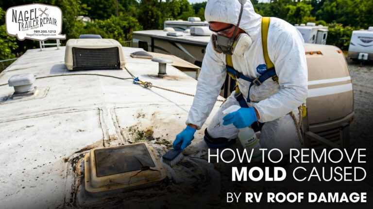 How to Remove Mold Caused by RV Roof Damage