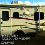 Mold and Mildew Damage in Campers