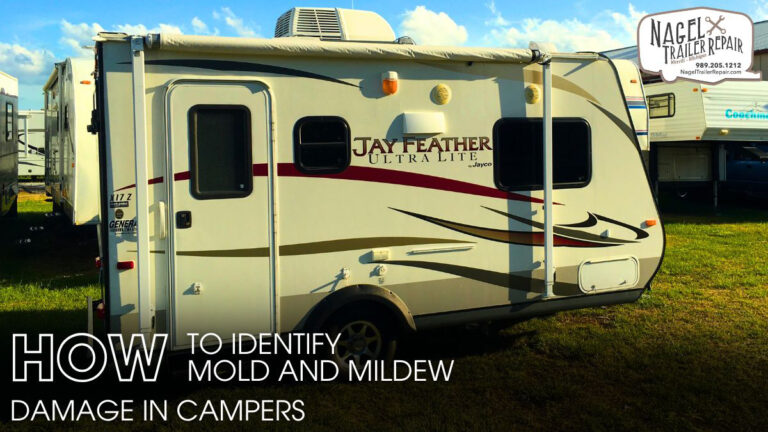 How to Identify Mold and Mildew Damage in Campers